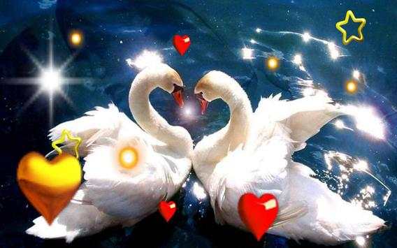Valentine Birds live wallpaper screenshot 3