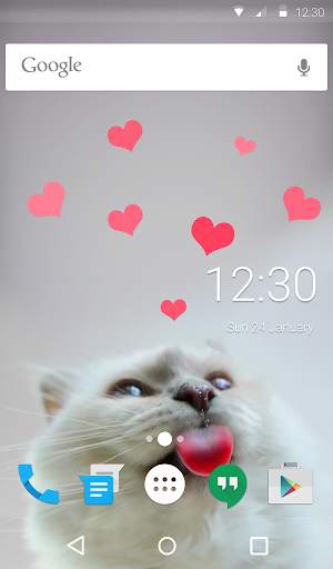 Cat Love Live Wallpaper Theme screenshot 6