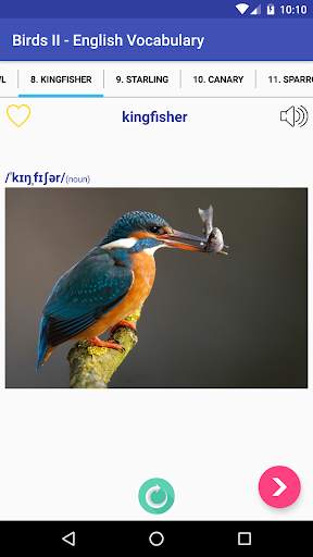 Learn English Free - Grammar Listening Vocabulary screenshot 18