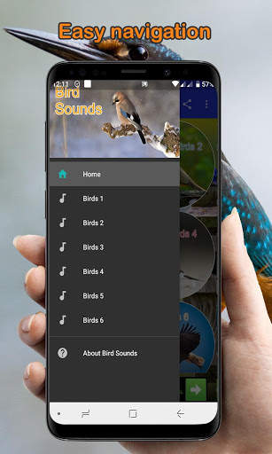 Bird Calls, Sounds, & Ringtones (Offline) скриншот 2
