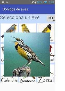 Sounds of birds singing screenshot 2