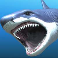 Great white shark breeding AR logo
