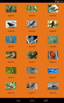 HD Bird Sounds screenshot 1
