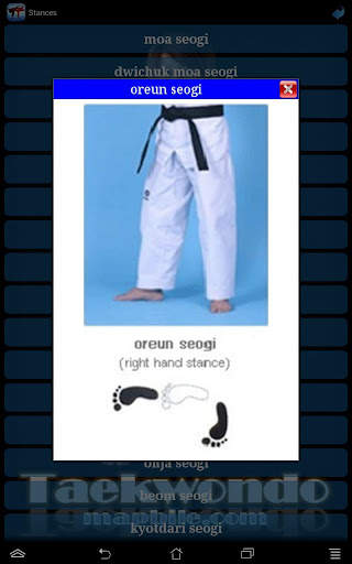 Taekwondo ITF screenshot 11