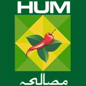 Masala TV Recipes (Urdu) icon
