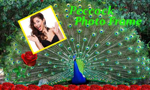 Peacock Photo Frames 6 تصوير الشاشة