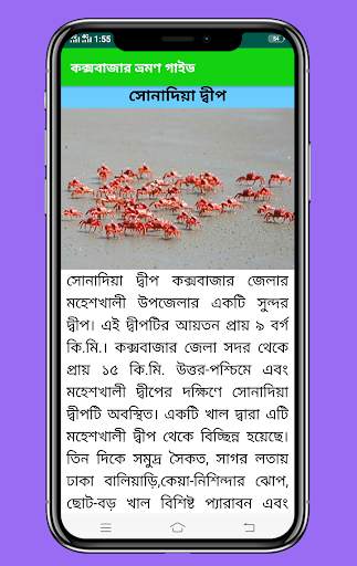Cox's Bazar Travel Guide screenshot 5