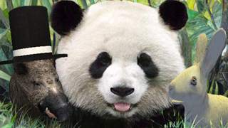 Animal Adventures 3D Puzzle screenshot 1