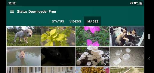 Status Downloader:For WhatsApp screenshot 7