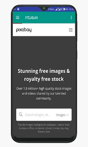 pixabay video screenshot 3