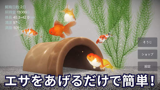 金魚育成アプリ・ポケット金魚 screenshot 2