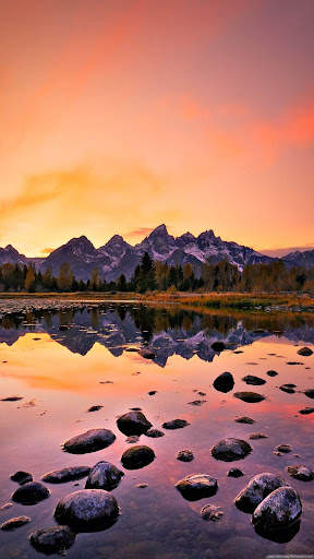 Nature Wallpaper screenshot 5