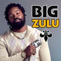 Big Zulu Songs logo
