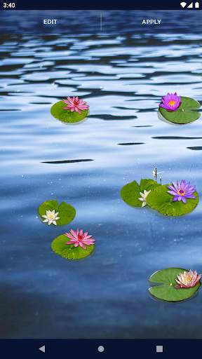 Water Lily Live Wallpaper screenshot 7