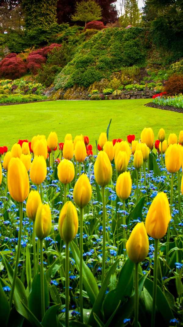 Garden wallpaper screenshot 1