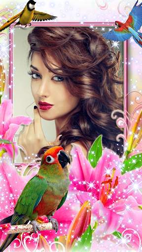 Bird Photo Frame screenshot 29