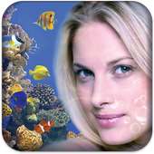 Aquarium Photo Frame LWP