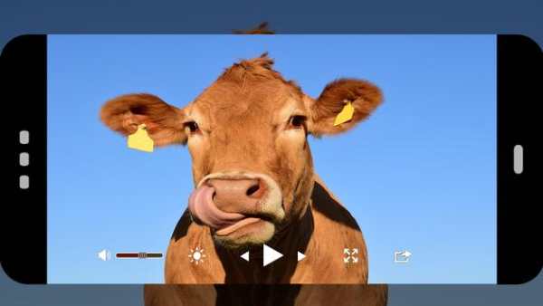 vedio Golde  player HD screenshot 3