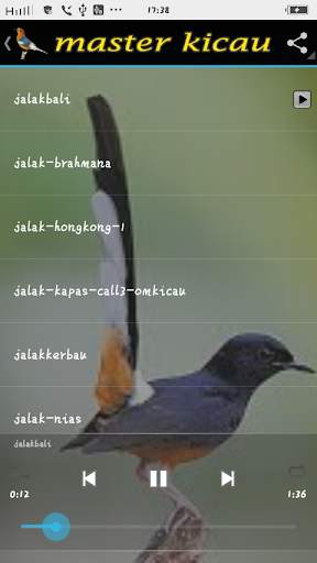 Master Birds song स्क्रीनशॉट 4
