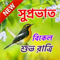 বাঙালি শুভ সকাল সকাল এবং শুভরাত্রি শুভেচ্ছা