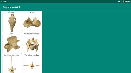 Anatomia Veterinária скриншот 7