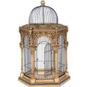 Design Bird Cage 1.0