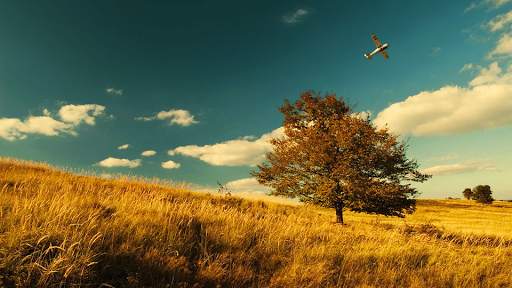 Nature Backgrounds HD 6 تصوير الشاشة