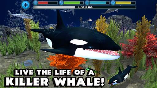 Orca Simulator screenshot 11