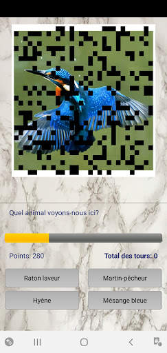 Photo Quiz screenshot 3
