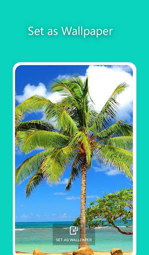 Beach Waves Sounds: Calm, Ambient, Sleep app screenshot 15