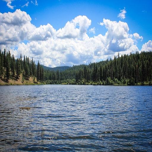 Lake Sound icon