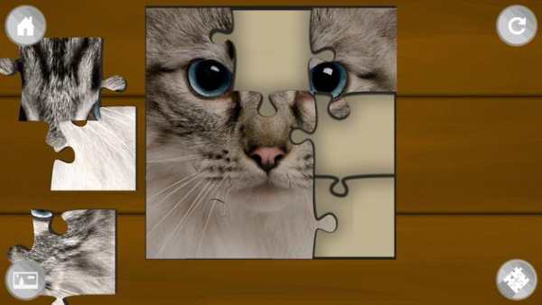 Jigsaw Puzzle Funny Cats screenshot 3