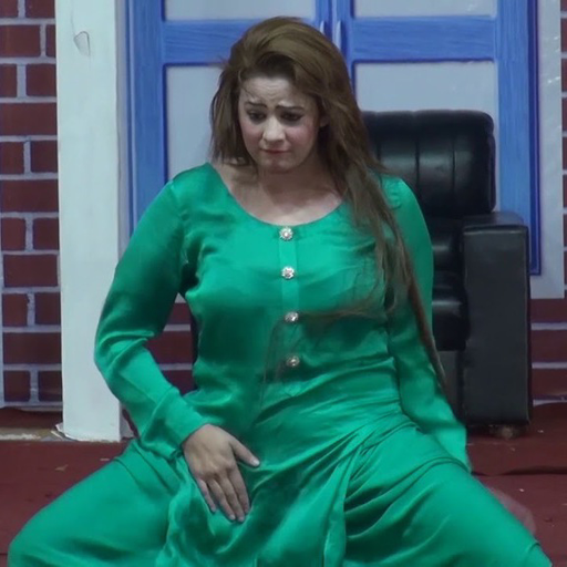 Punjabi Stage Dance icon