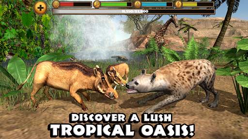 Hyena Simulator screenshot 7