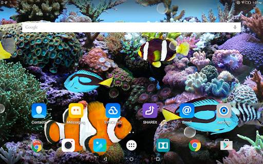 Coral Fish 3D Live Wallpaper screenshot 8