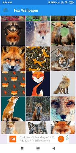 Fox Wallpaper: HD images, Free Pics download screenshot 1