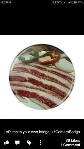 Camera Badge screenshot 5