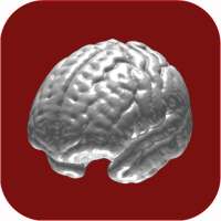 N-Back Memory Training