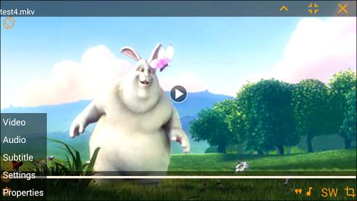 Canny Media Player screenshot 5