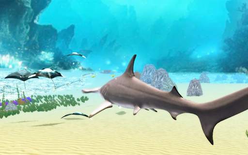 The Hammerhead Shark screenshot 22