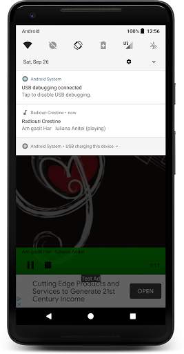 Radiouri Crestine screenshot 3
