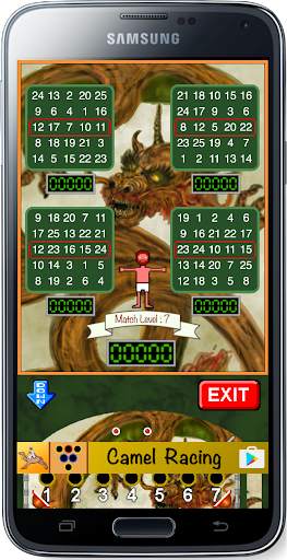 Bingo Pinball Dragon screenshot 2