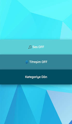 WordAppPractice İngilizce Türkçe Kelime Pratiği скриншот 5