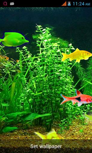 Aquarium Live Wallpaper! screenshot 6