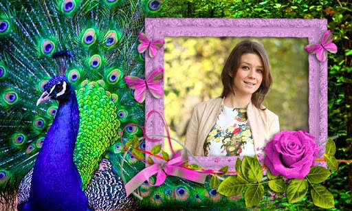 Peacock Photo Frames HD screenshot 3