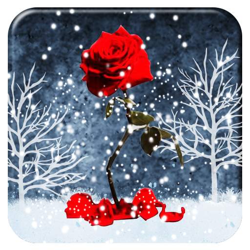 Red Rose Heart APUS Live Wallpaper 1.0