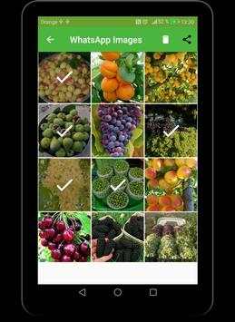 Cleaner whatsapp Mobile screenshot 7
