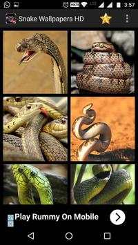 Snake Wallpapers HD screenshot 5