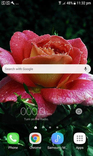 Dewy Shine Rose LWP screenshot 2