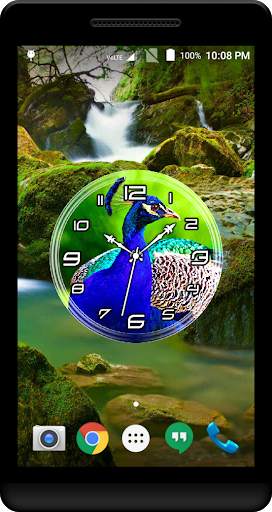 Peacock Clock Live Wallpaper screenshot 3